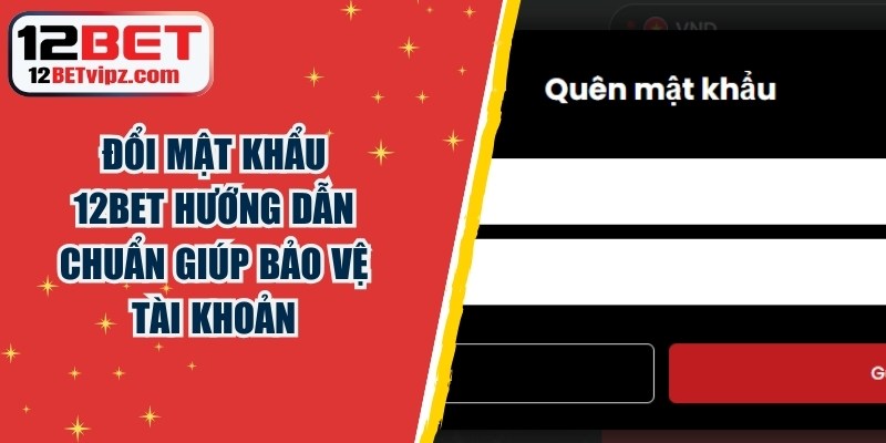 Đổi Mật Khẩu 12BET Hướng Dẫn Chuẩn Giúp Bảo Vệ Tài Khoản 4 Đổi Mật Khẩu 12BET